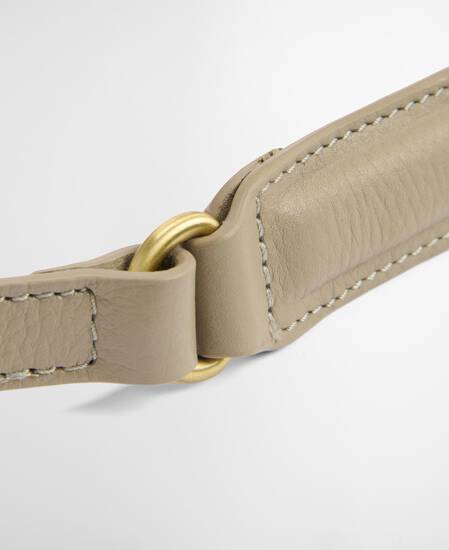 Daphne Leather Crossbody Bag Dune